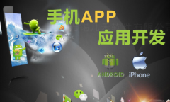 手機app開發(fā)11大步驟、技術(shù)人員、常用接口
