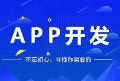 開發(fā)一個app多少錢？